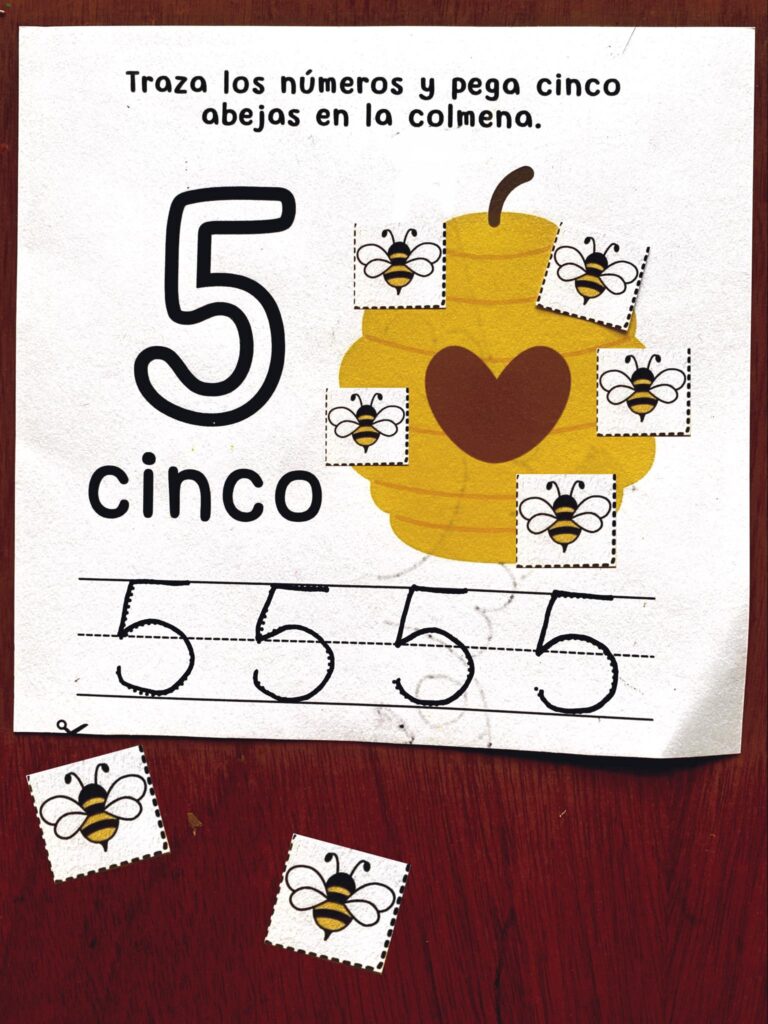 486718018_1568973927096836_2953001118282315343_n