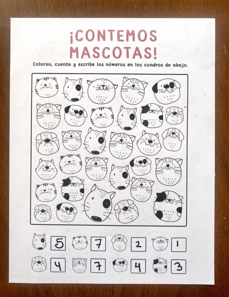 487741343_630009386675812_6508448688471201615_n (1)